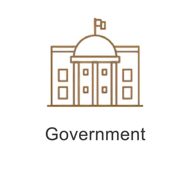 Government