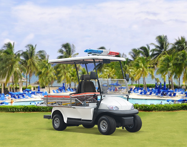 Security Service Carts