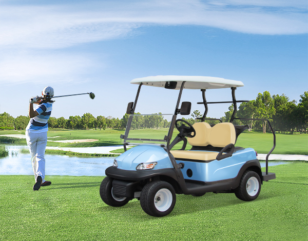 Fleet Golf Carts