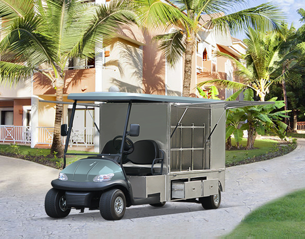 Maintenance Service Carts - LEMSC2-IF