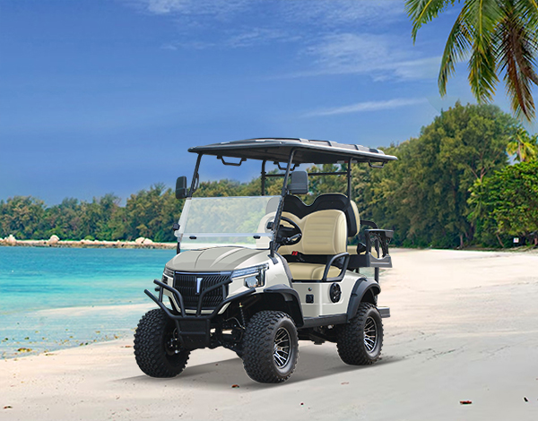 LELSC4-Lifted chassis